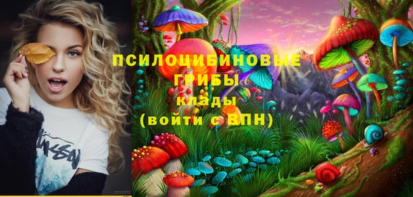 гашик Ахтубинск