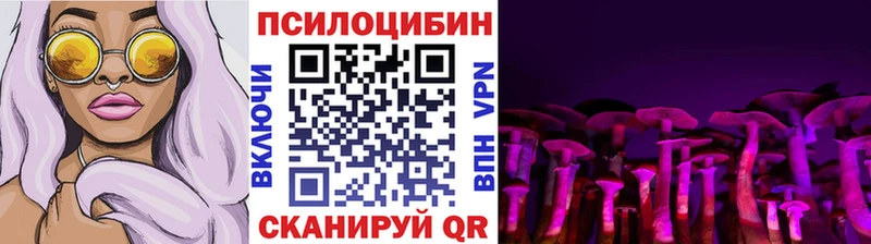 Псилоцибиновые грибы GOLDEN TEACHER Лиски