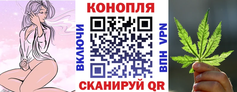 omg вход  Лиски  Канабис планчик  купить  цена 
